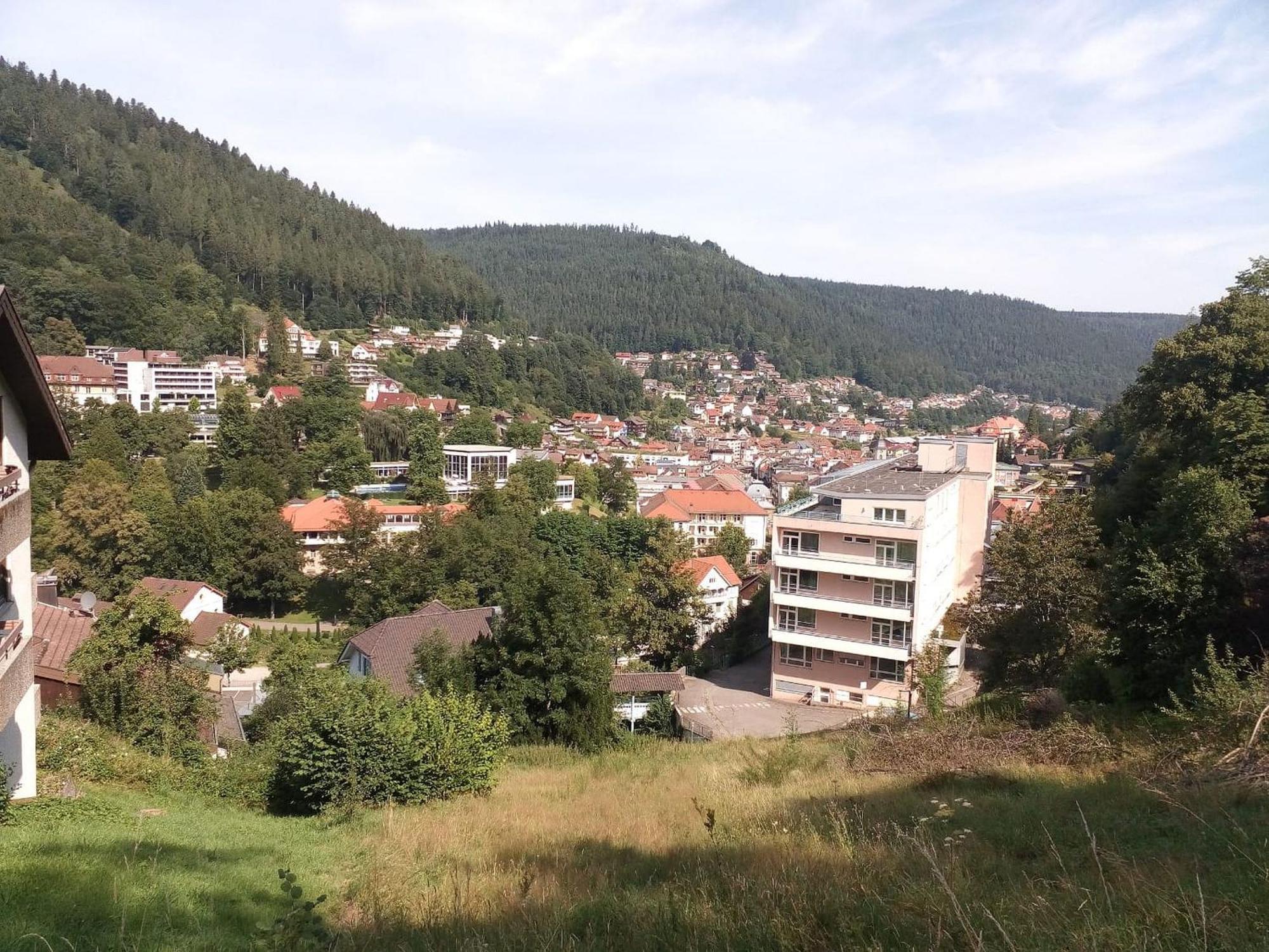 Ferienwohnung Tannenwald บาดวิลด์บาด ภายนอก รูปภาพ