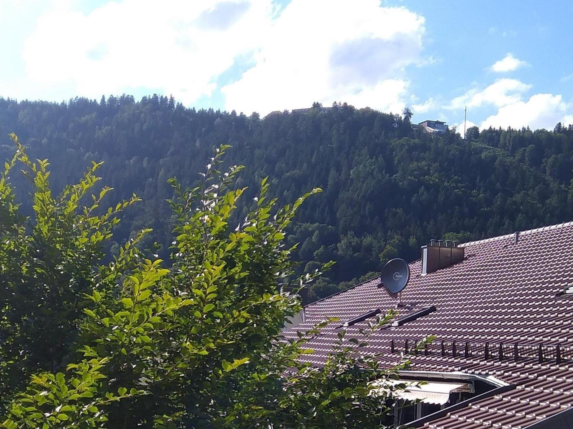 Ferienwohnung Tannenwald บาดวิลด์บาด ภายนอก รูปภาพ