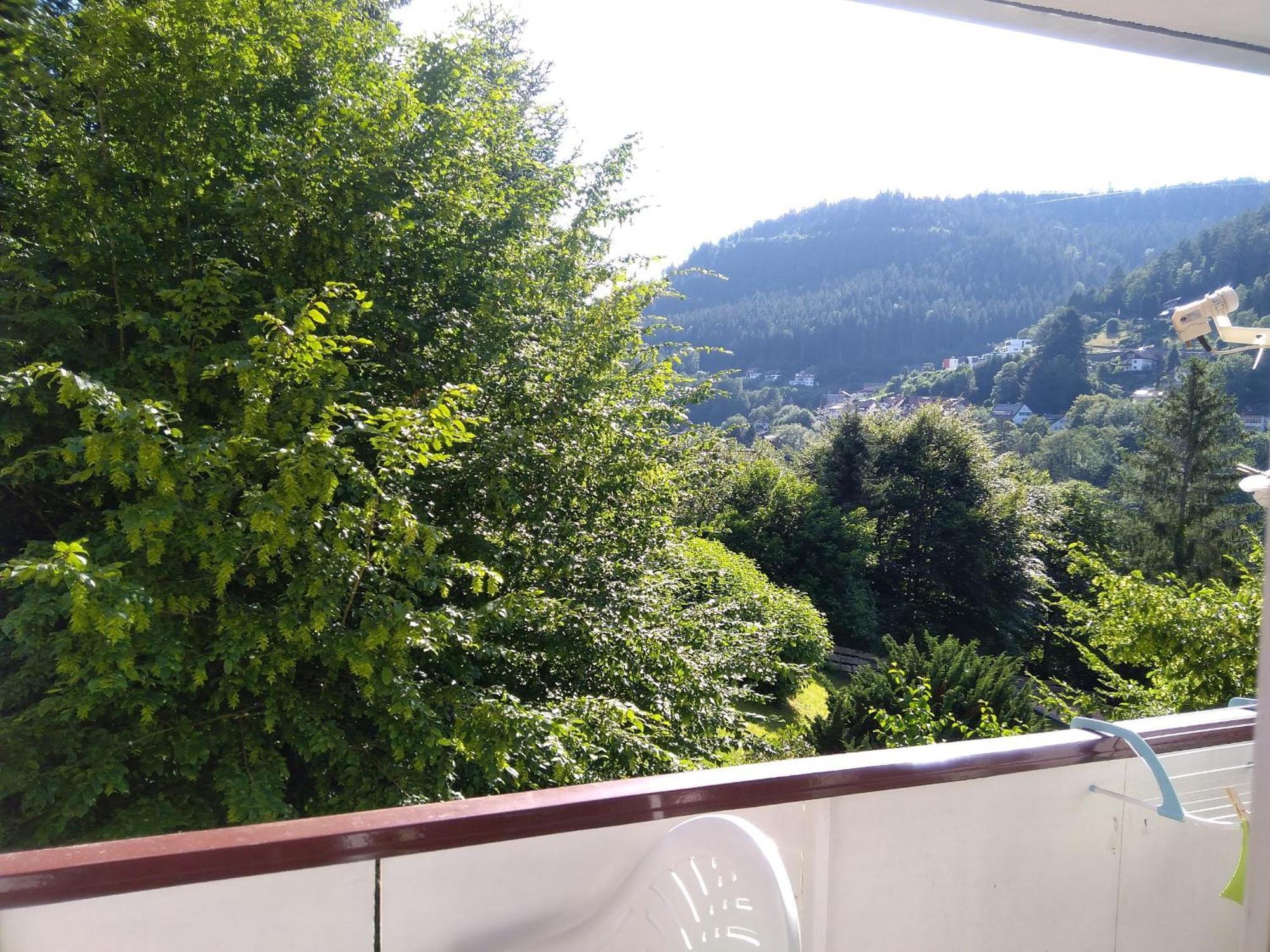 Ferienwohnung Tannenwald บาดวิลด์บาด ภายนอก รูปภาพ